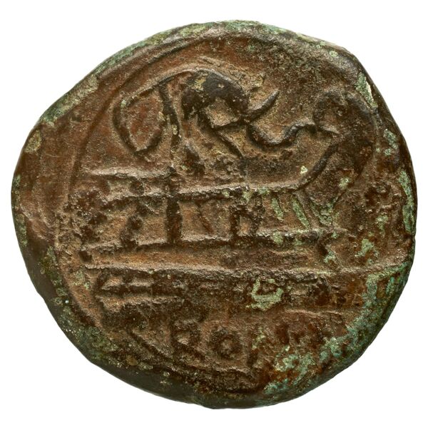 reverse RRC 262/3