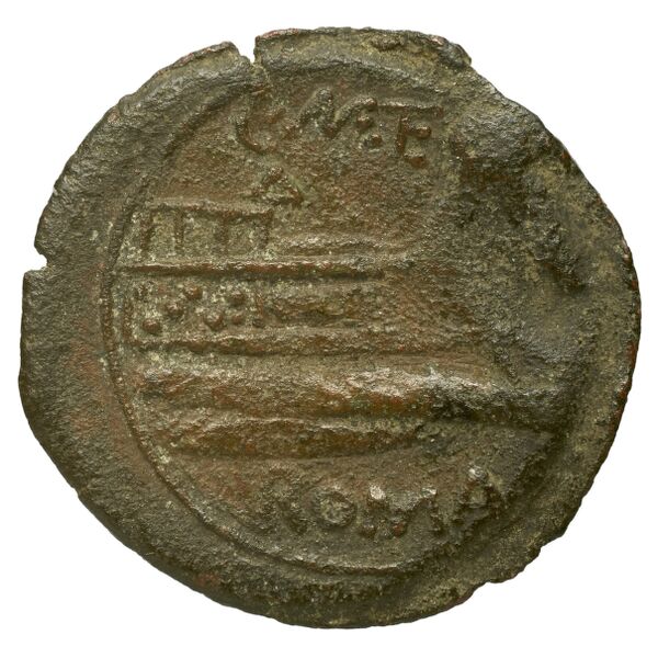 reverse RRC 256/2b