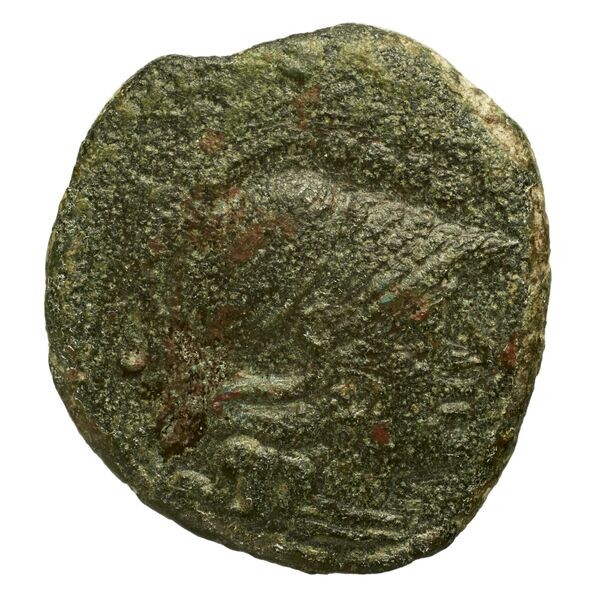 obverse RRC 205/4