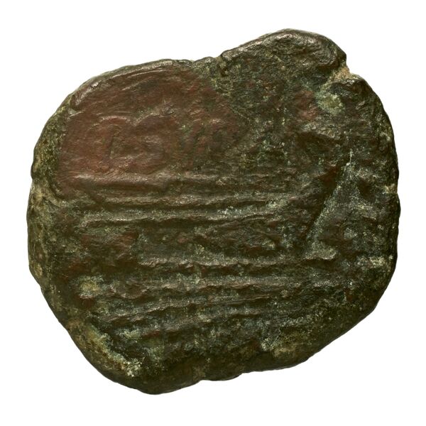 reverse RRC 205/5
