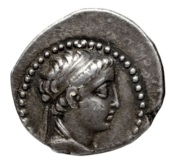 аверс Seleucid Coins (part 2) 1956.1