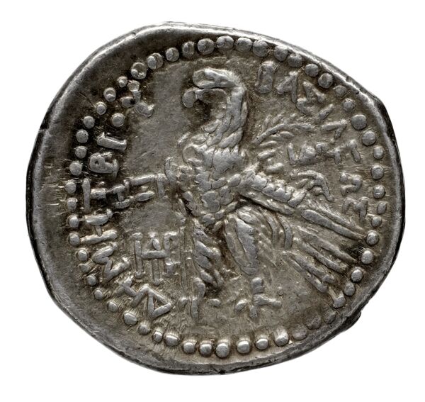 реверс Seleucid Coins (part 2) 1956.1