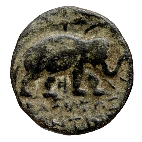 реверс Seleucid Coins (part 1) 1089.3a
