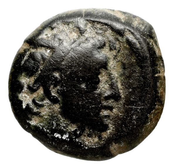 аверс Seleucid Coins (part 2) 1980.6