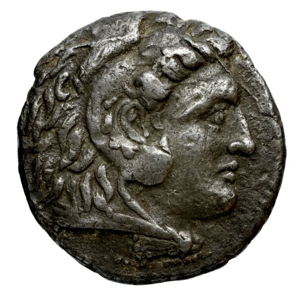 Newell Demetrius Poliorcetes, no. 25, аверс, BnF (HRC)