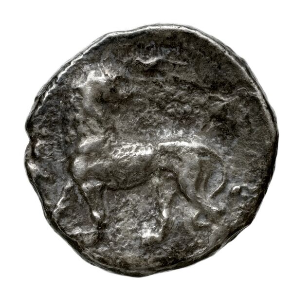 реверс Seleucid Coins (part 1) 89