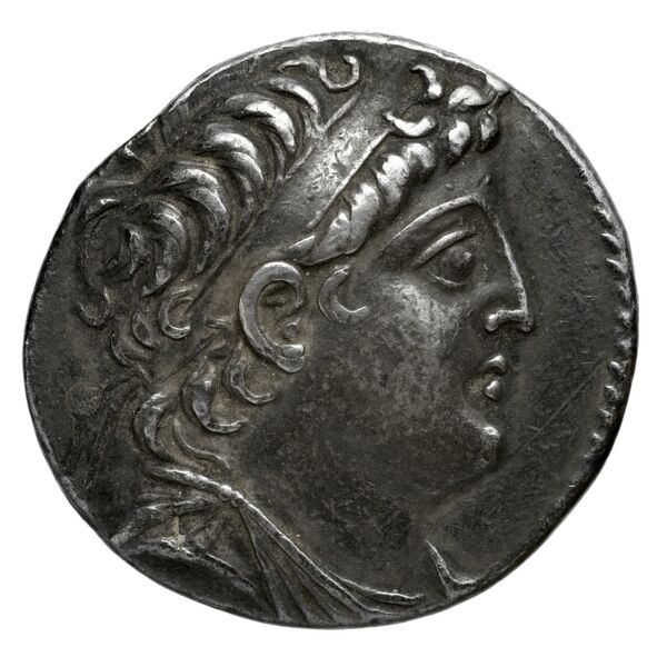 аверс Seleucid Coins (part 2) 2195.5c