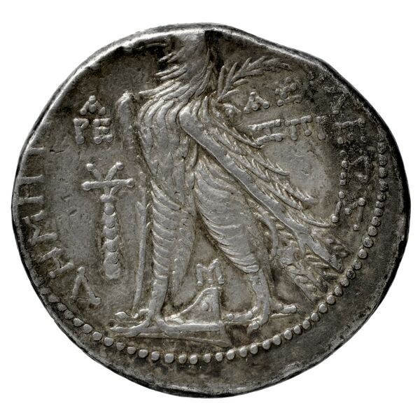 реверс Seleucid Coins (part 2) 2195.5c