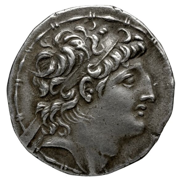 аверс Seleucid Coins (part 2) 2336.1