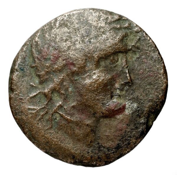Seleucid Coins (part 1) 575.1a, аверс, BnF (HRC)