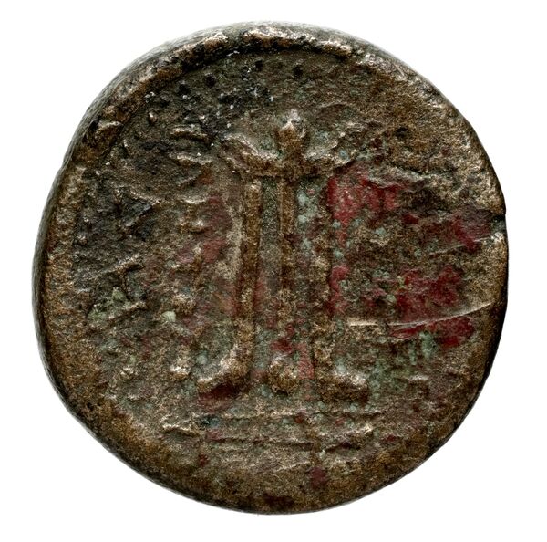 Seleucid Coins (part 1) 575.1a, реверс, BnF (HRC)