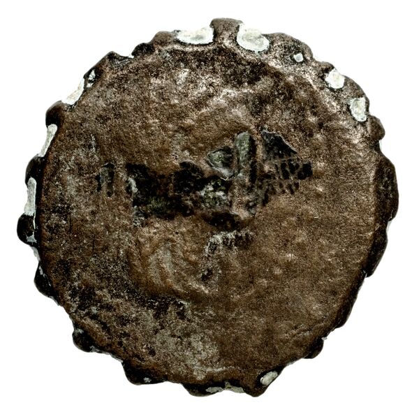 аверс Seleucid Coins (part 2) 1477.2c