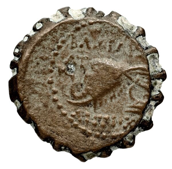 реверс Seleucid Coins (part 2) 1477.2c
