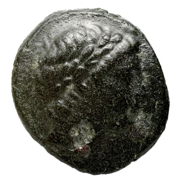аверс Seleucid Coins (part 1) 1085