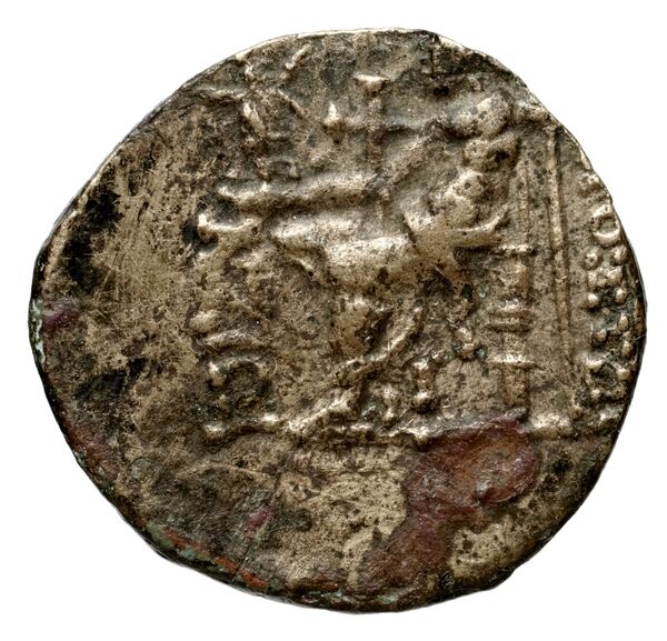 реверс Seleucid Coins (part 2) 1427