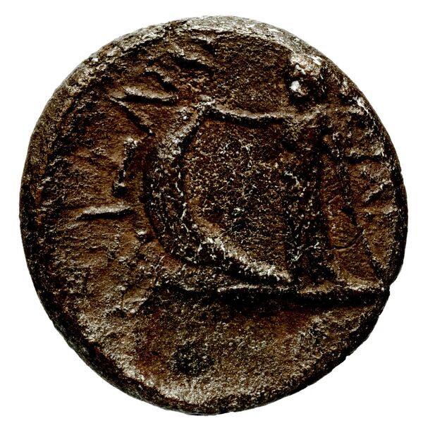 реверс Seleucid Coins (part 2) 1442