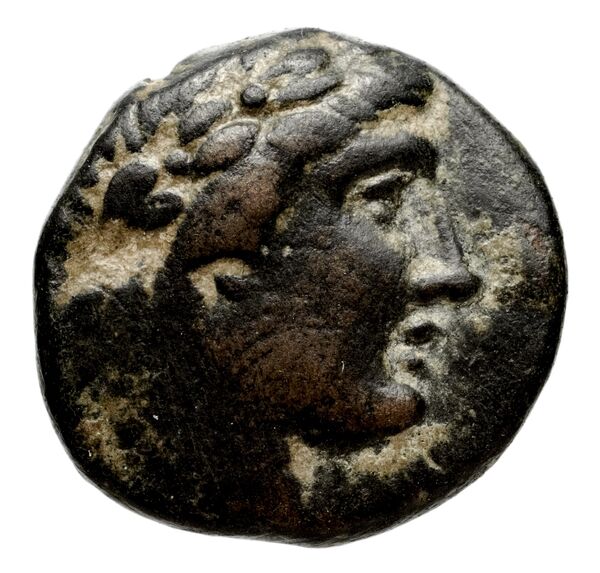 Seleucid Coins (part 1) 955, аверс, bnf-hrc