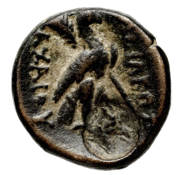 Seleucid Coins (part 1) 955, реверс, bnf-hrc