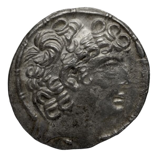 аверс Seleucid Coins (part 2) 2489.1
