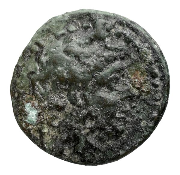 аверс Seleucid Coins (part 2) 2353.1