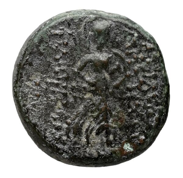 реверс Seleucid Coins (part 2) 2353.1