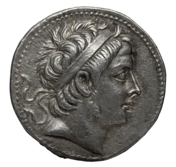 аверс Seleucid Coins (part 1) 939.1