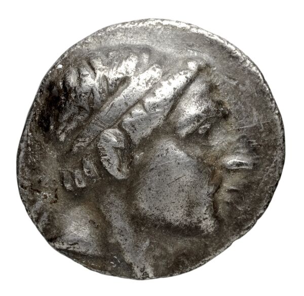 Seleucid Coins (part 1) 1066, аверс, BnF (HRC)