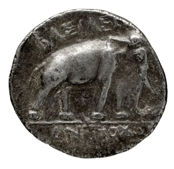 Seleucid Coins (part 1) 1066, реверс, BnF (HRC)