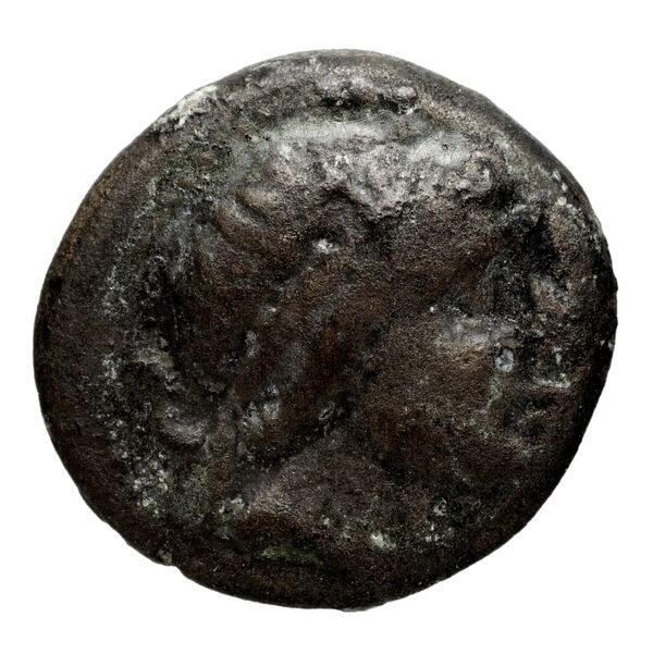 Seleucid Coins (part 1) 608, аверс, BnF (HRC)