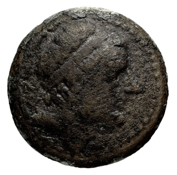 Seleucid Coins (part 1) 1247, аверс, BnF (HRC)