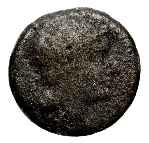 Seleucid Coins (part 1) 1249, аверс, BnF (HRC)