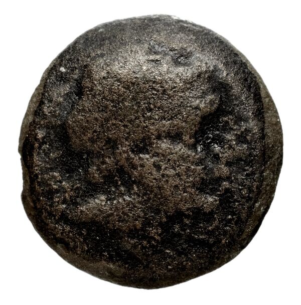 Seleucid Coins (part 1) 1258, аверс, BnF (HRC)