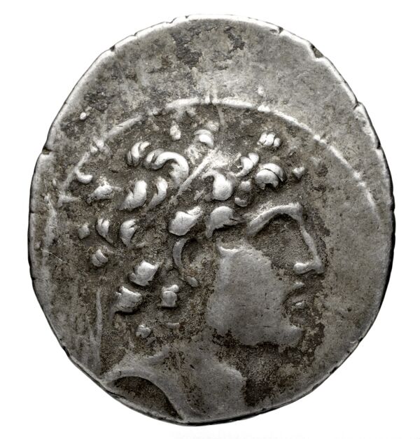 аверс Seleucid Coins (part 2) 1781.1p