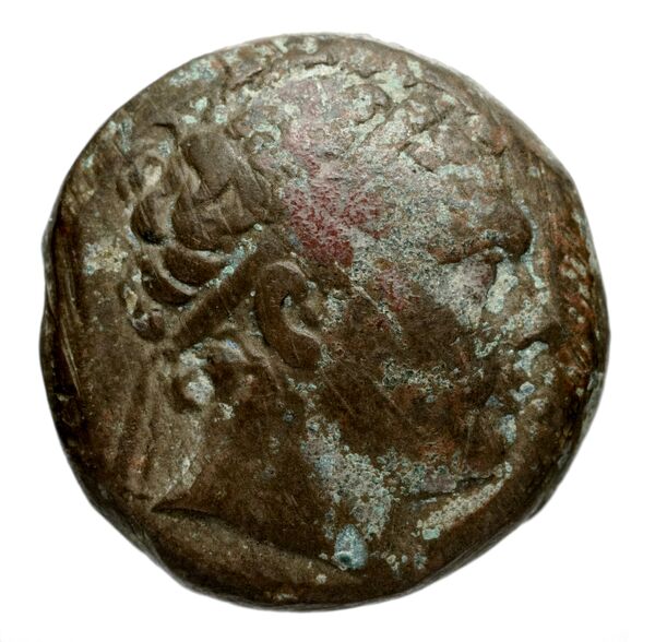 аверс Seleucid Coins (part 1) 1275a