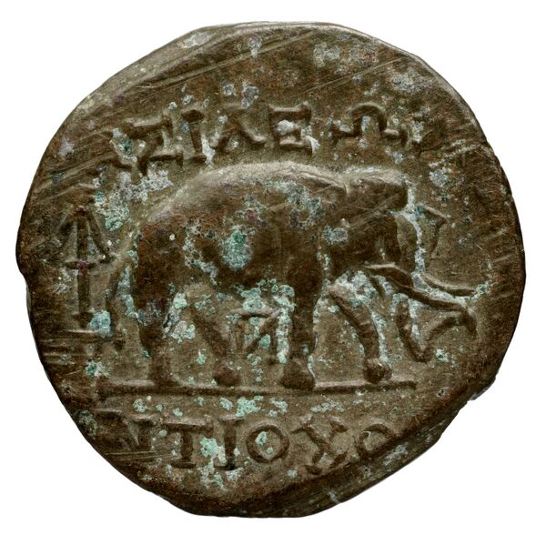реверс Seleucid Coins (part 1) 1275a