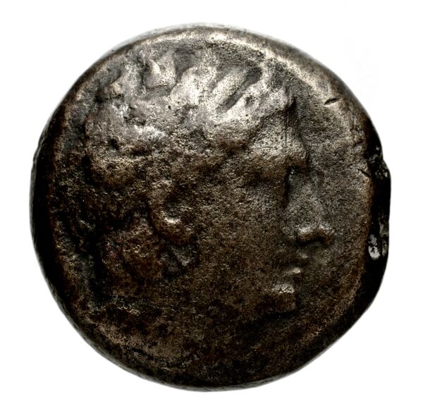 аверс Seleucid Coins (part 1) 1275f