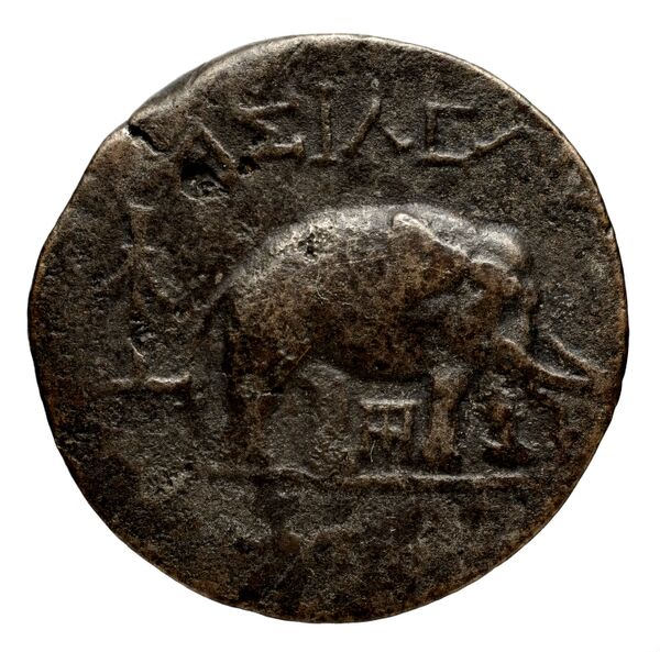 реверс Seleucid Coins (part 1) 1275f
