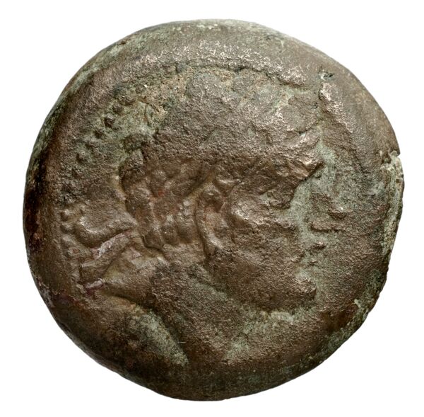 Seleucid Coins (part 1) 1256, аверс, BnF (HRC)
