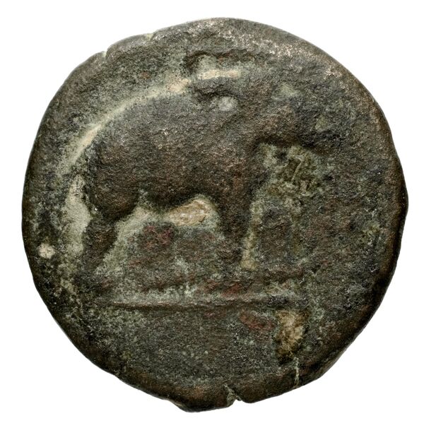 аверс Seleucid Coins (part 2) 1554.1