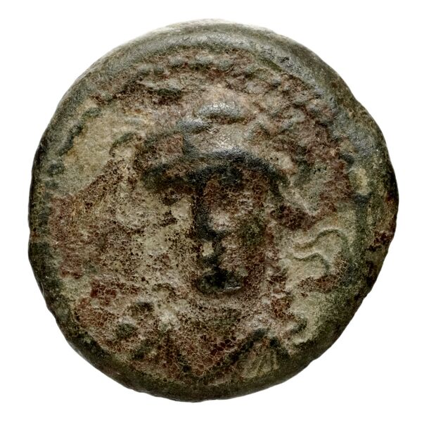 аверс Seleucid Coins (part 1) 769