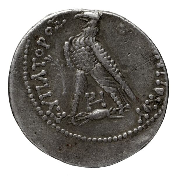 реверс Seleucid Coins (part 2) 1583b