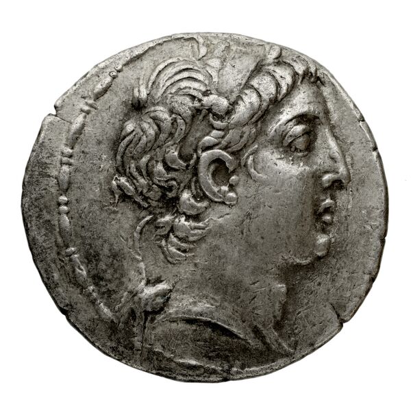 аверс Seleucid Coins (part 2) 1890.1a