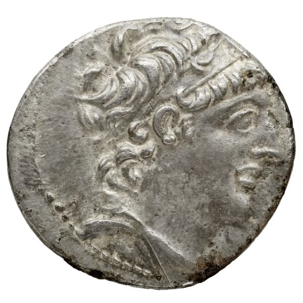 аверс Seleucid Coins (part 2) 2340.6
