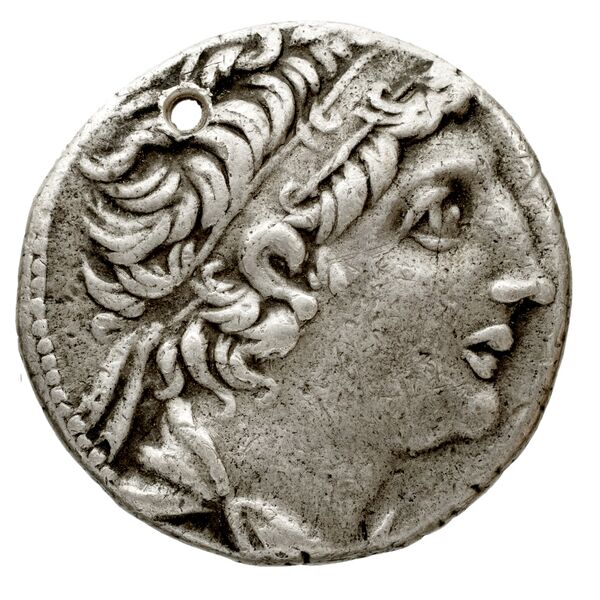 аверс Seleucid Coins (part 2) 2340.10