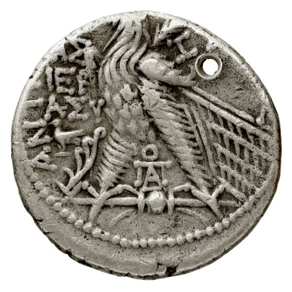 реверс Seleucid Coins (part 2) 2340.10
