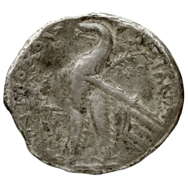 реверс Seleucid Coins (part 2) 2339.2