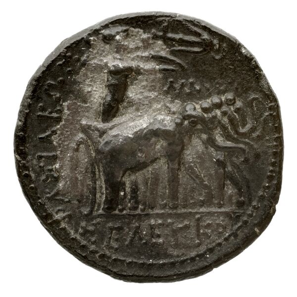 реверс Seleucid Coins (part 1) 130.11