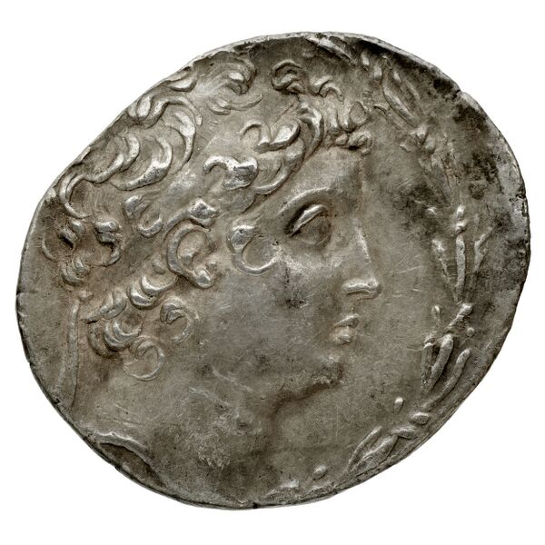 аверс Seleucid Coins (part 2) 1907.1h
