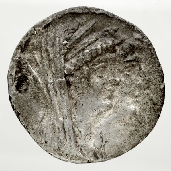 аверс Seleucid Coins (part 2) 2268