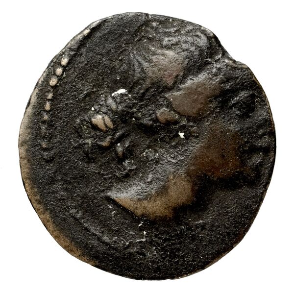 Seleucid Coins (part 2) 1914, аверс, BnF (HRC)